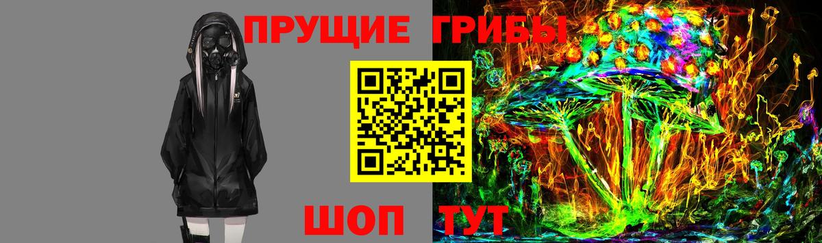 Пугачёв  Псилоцибиновые грибы MAGIC MUSHROOMS  Галлюциногенные грибы Cubensis  Вход с VPN 